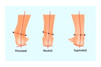 Why Pronation of the Feet Matters